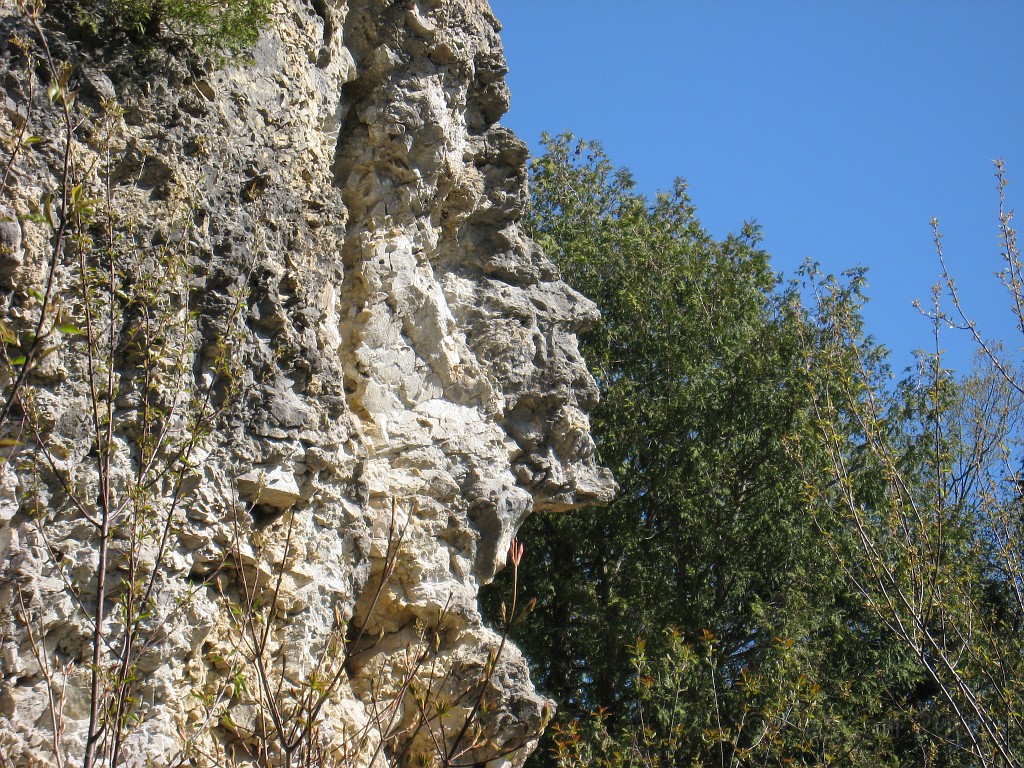 Mackinaw Island Area May 2008 0901.jpg - May 24 2008 a trip to Mackinac City for a 5 M race and a visit to Mackinac Island. A day to the UP, Paradise, Whitefish Point and Tahquamen Falls. This was followed by trips to Petoskey and Charlevoix.